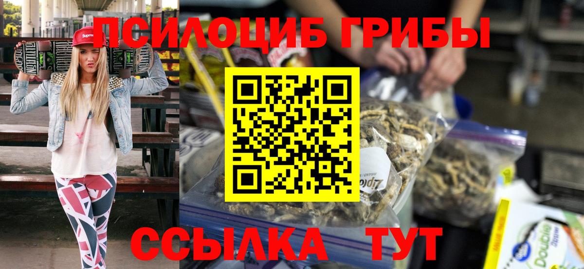 Псилоцибиновые грибы мицелий Ростов Великий