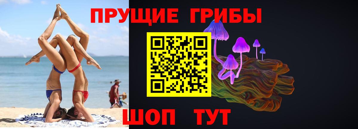 цены   Галлюциногенные грибы GOLDEN TEACHER  Вход с VPN  Галлюциногенные грибы GOLDEN TEACHER  Ростов Великий 